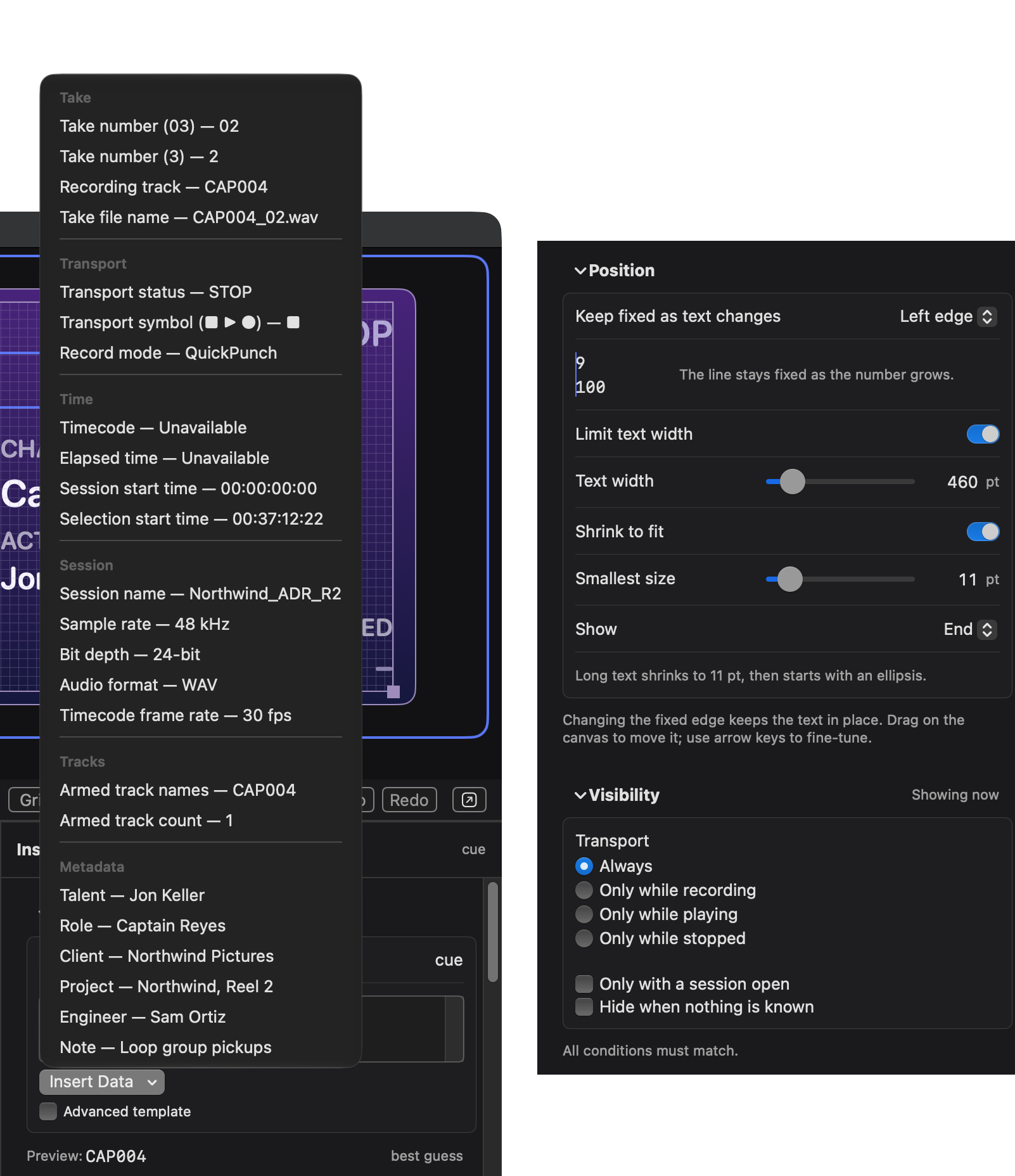 The Inspector for a selected element. Left: the Insert Data menu open, listing values grouped as Take, Transport, Timecode, Date & Time, Session, Tracks and Metadata, each group a submenu, each with its current reading, here with the transport stopped. Right: the Position section with Limit text width, Text width, Shrink to fit, Smallest size and Show, and the Visibility section with the Transport choice and two checkboxes.